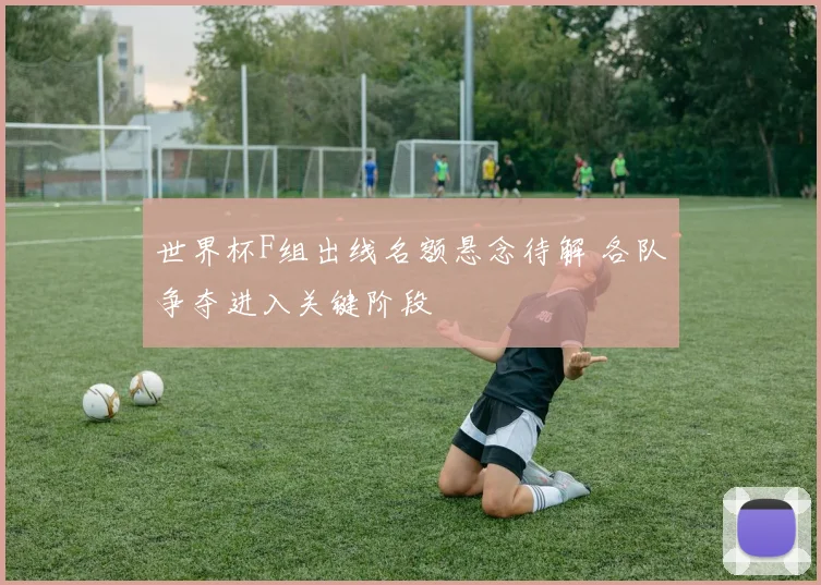 世界杯F组出线名额悬念待解 各队争夺进入关键阶段