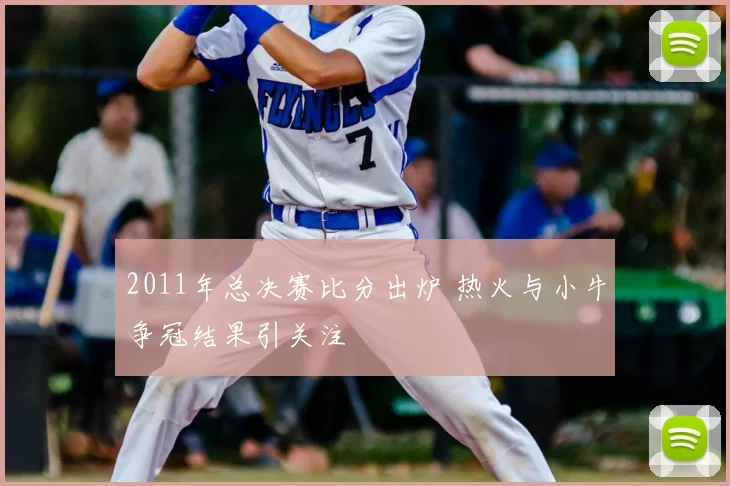 2011年总决赛比分出炉 热火与小牛争冠结果引关注
