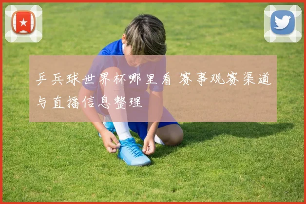 中国代表团北京奥运会夺金数量创历史新高突破五十枚大关