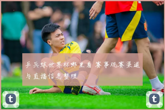 中国代表团北京奥运会夺金数量创历史新高突破五十枚大关