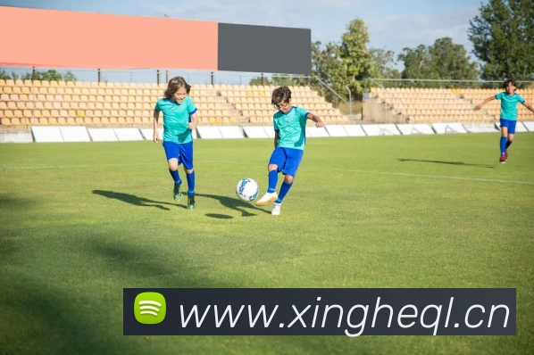 App Interface Preview